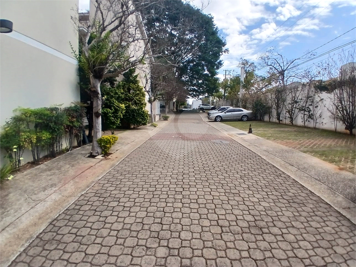 Foto REO1114992