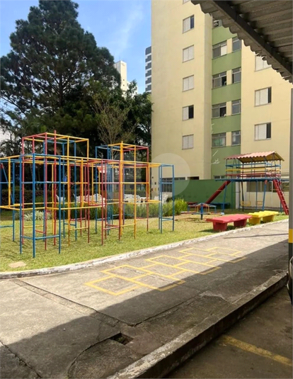 Foto REO1115010