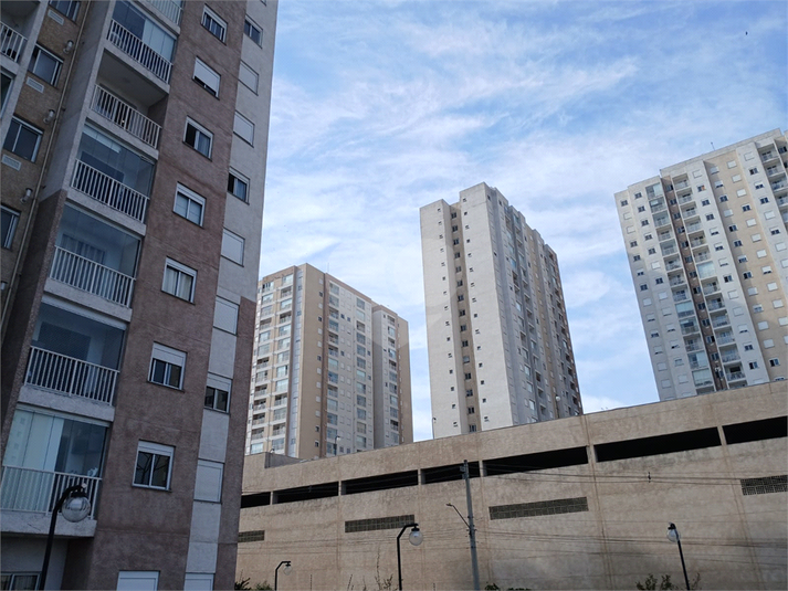 Foto REO1115018