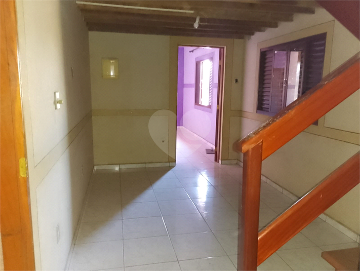 Foto REO1115037