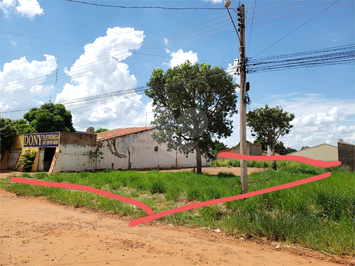 Foto REO1115038