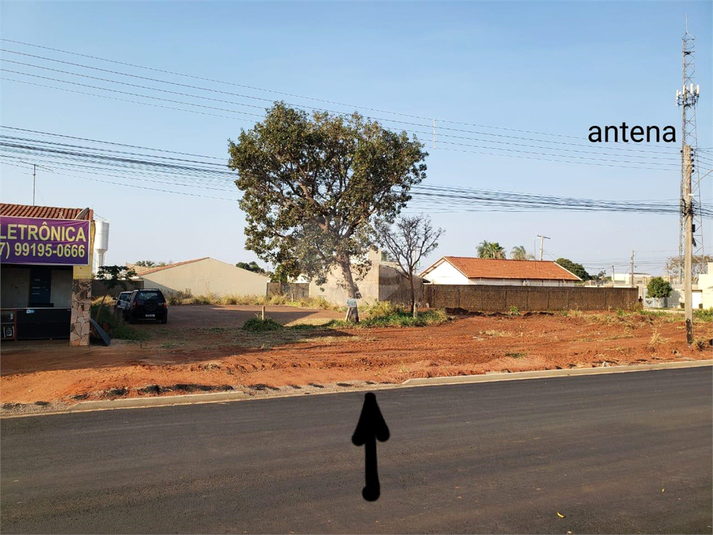 Foto REO1115038