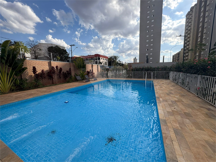 Foto REO1115047