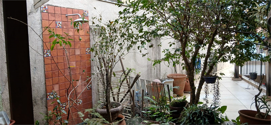 Foto REO1115064