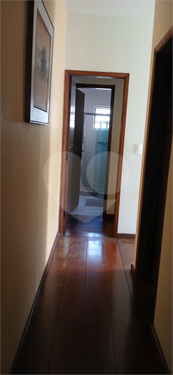 Foto REO1115064