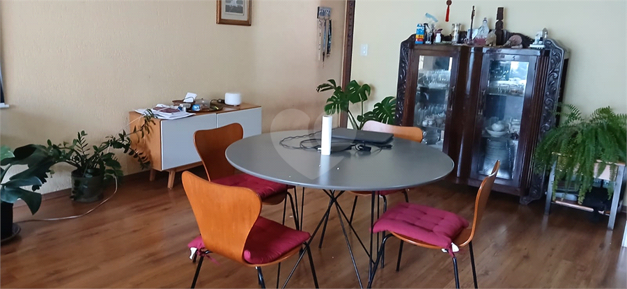 Foto REO1115064