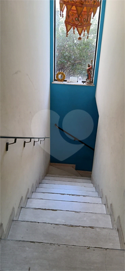 Foto REO1115064