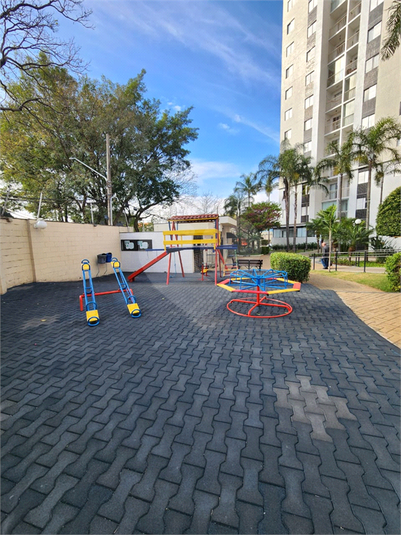Foto REO1115067
