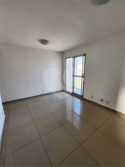 Foto REO1115067