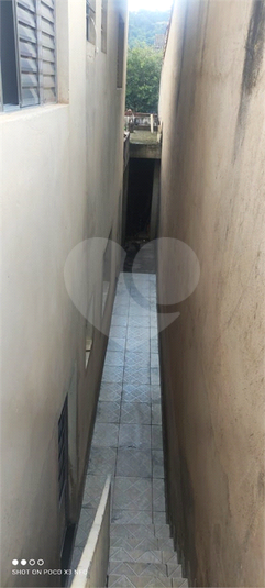 Foto REO1115078