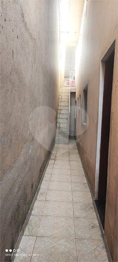 Foto REO1115078