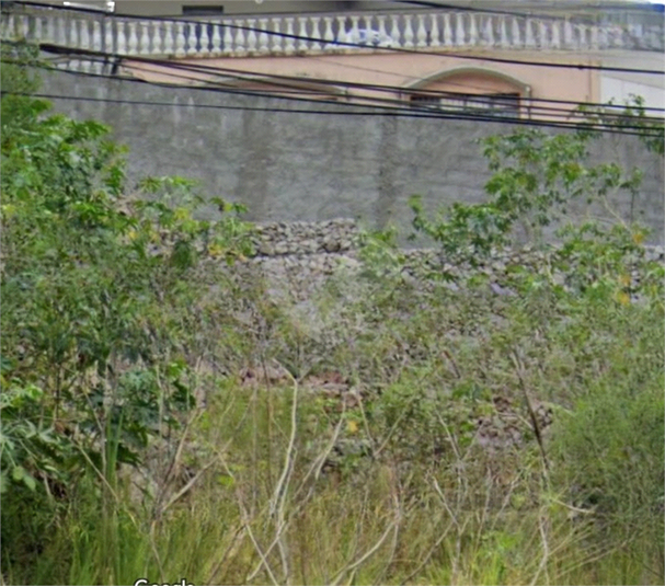 Foto REO1115083
