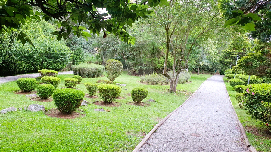 Foto REO1115085