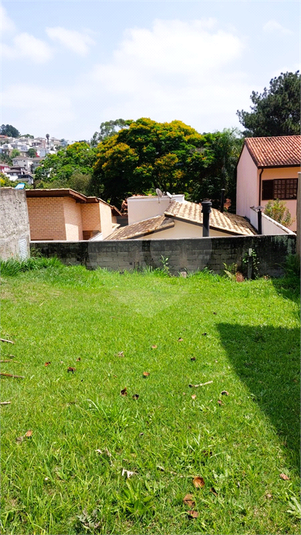 Foto REO1115085