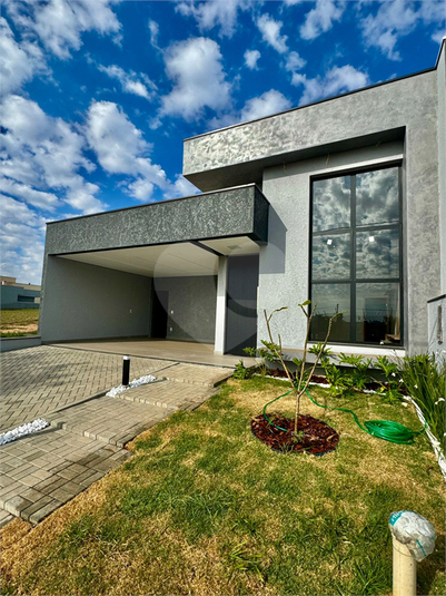 Foto REO1115089