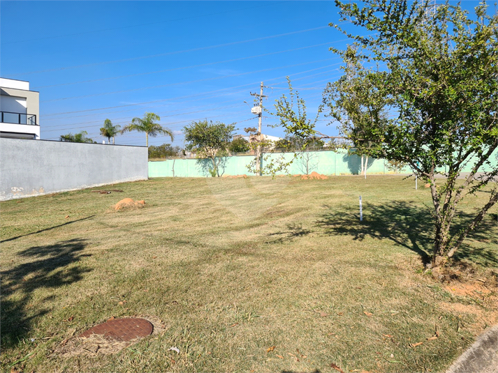 Foto REO1115097
