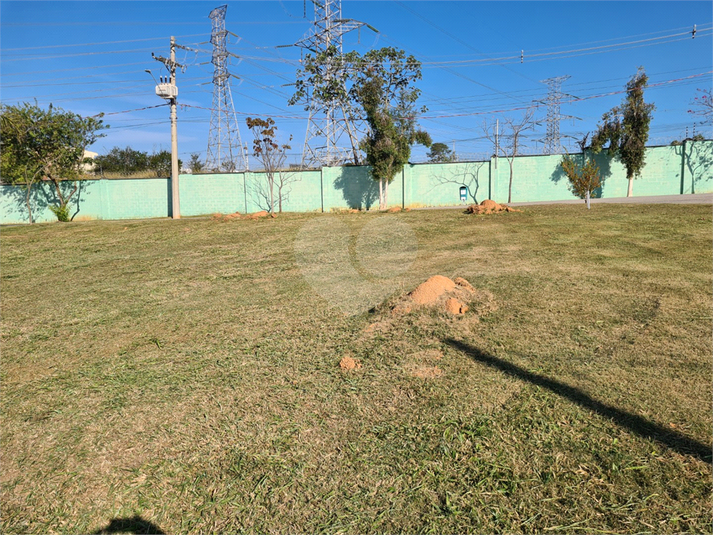 Foto REO1115097