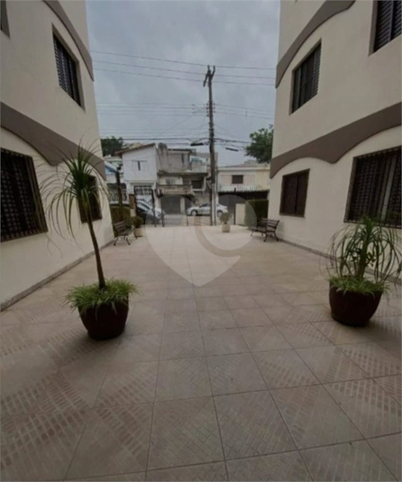 Foto REO1115103