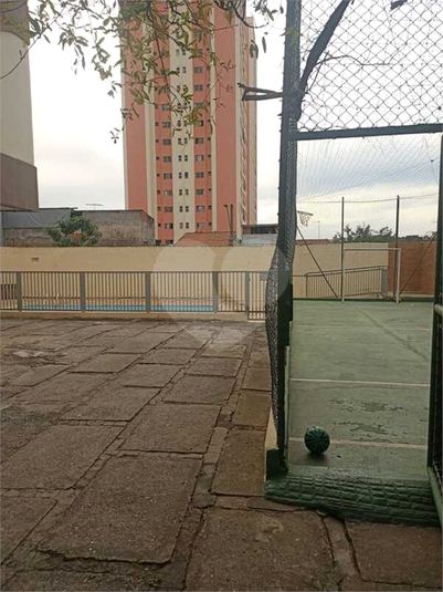 Foto REO1115103