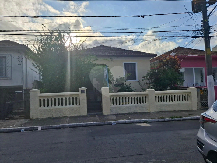 Foto REO1115105