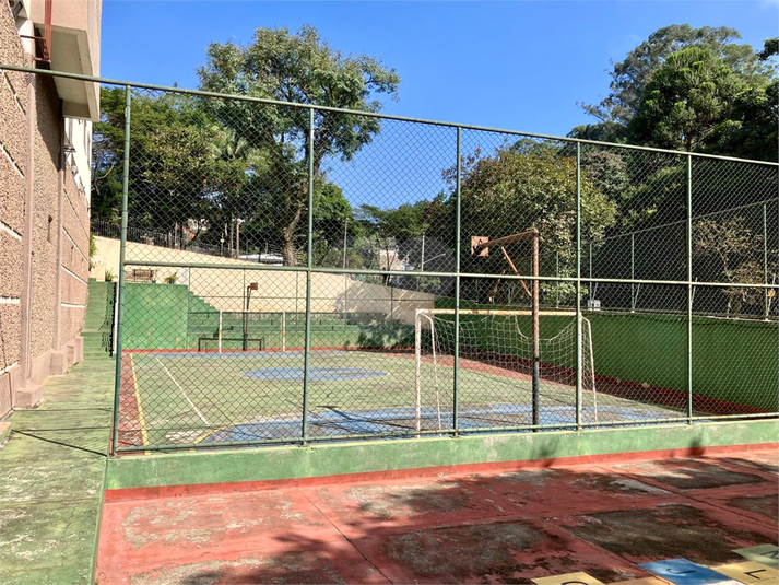 Foto REO1115108