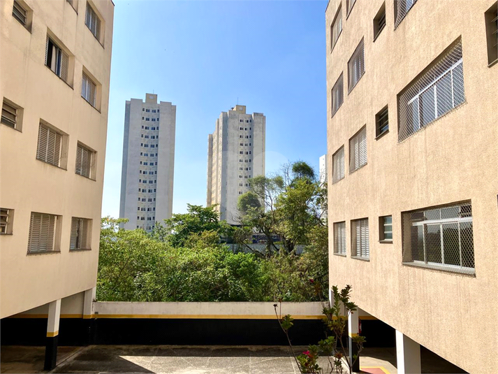 Foto REO1115108