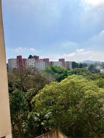 Foto REO1115108