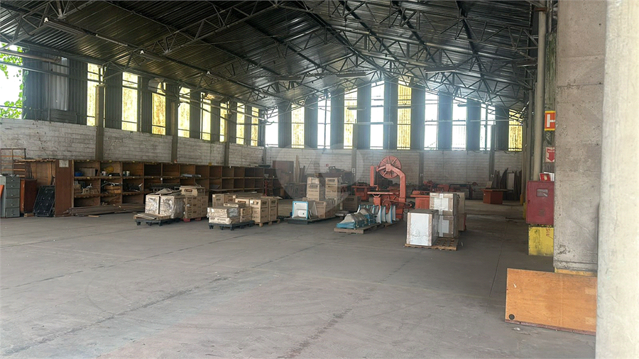 Foto REO1115127