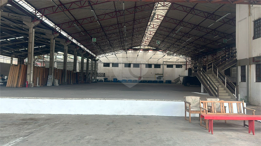 Foto REO1115127