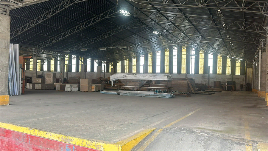 Foto REO1115127
