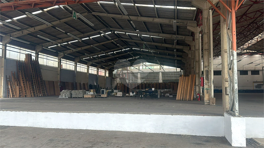 Foto REO1115127