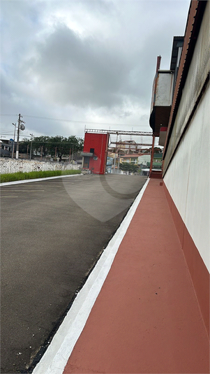 Foto REO1115127