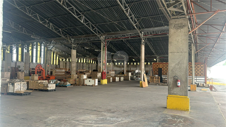 Foto REO1115127