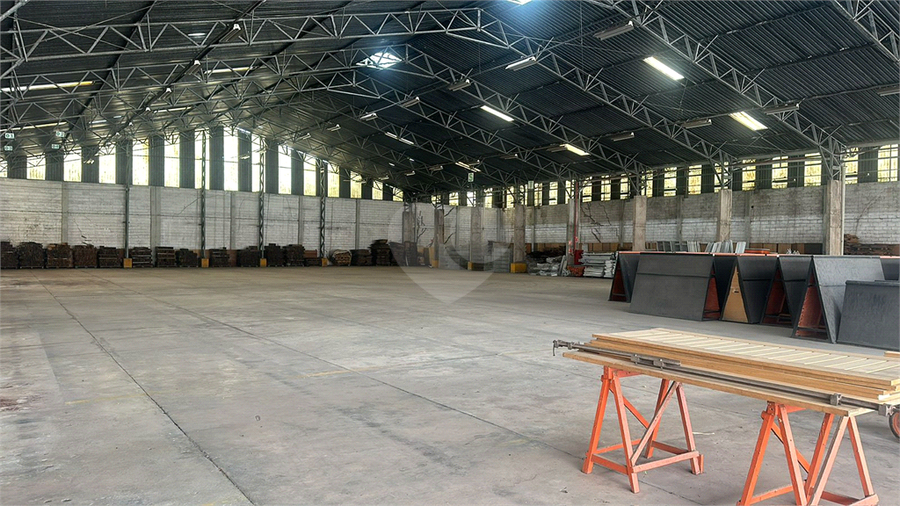 Foto REO1115127