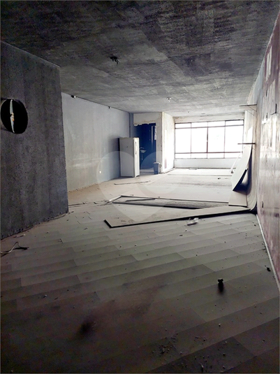 Foto REO1115136