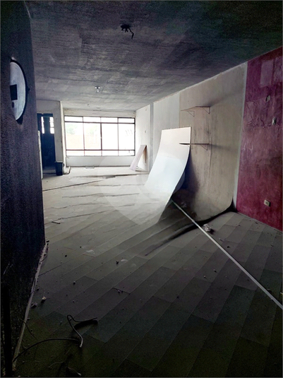 Foto REO1115136
