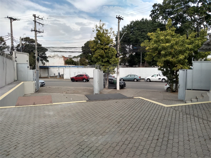 Foto REO1115139