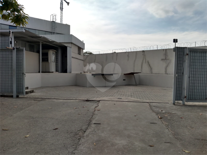 Foto REO1115139