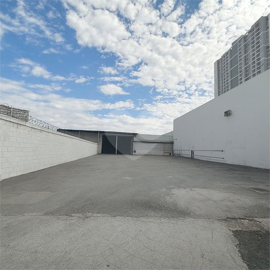 Foto REO1115139