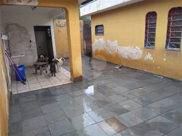 Foto REO1115143