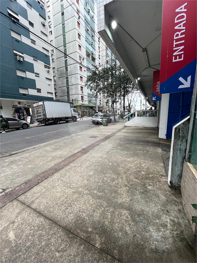 Foto REO1115145