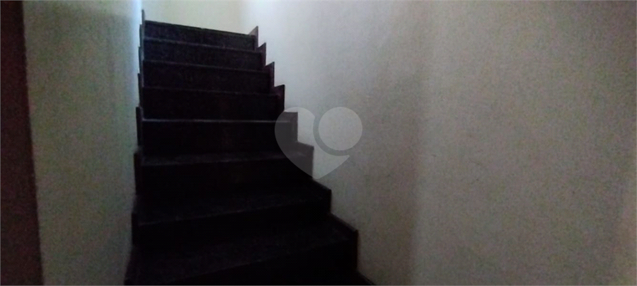 Foto REO1115146