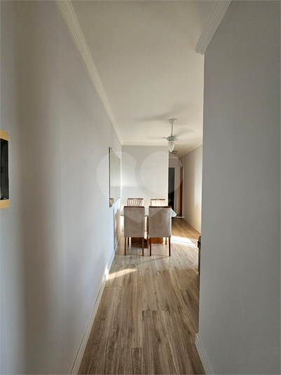 Foto REO1115154