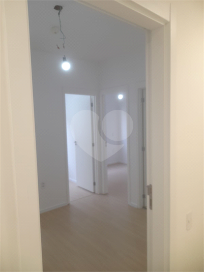Foto REO1115159