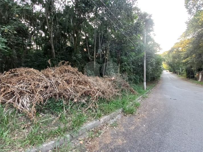 Foto REO1115168