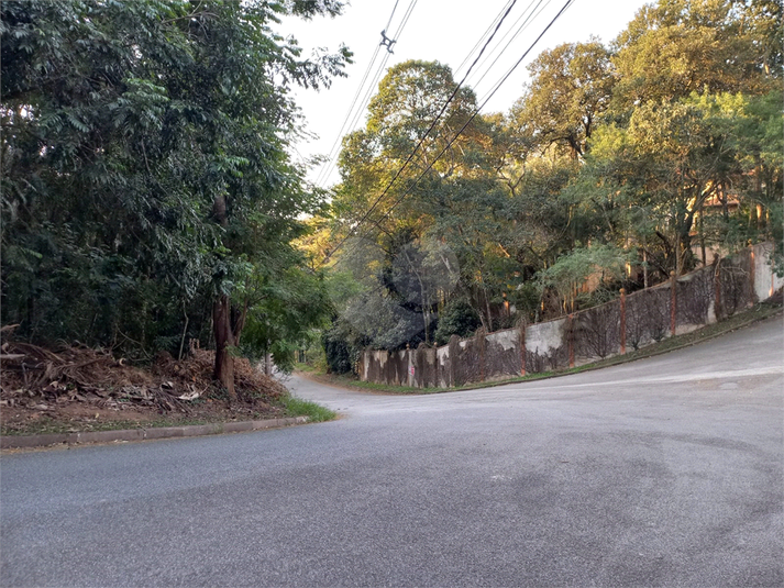 Foto REO1115168