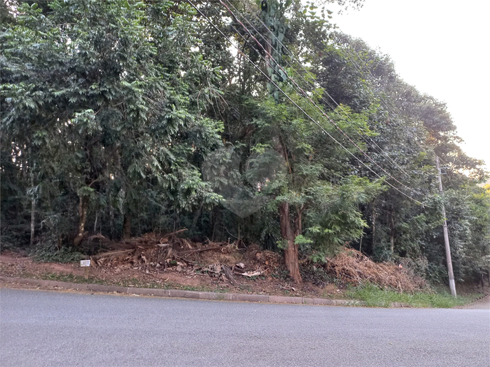 Foto REO1115168