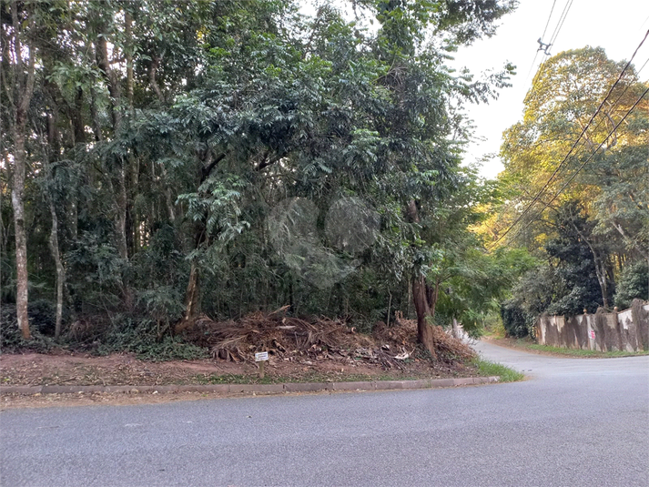 Foto REO1115168