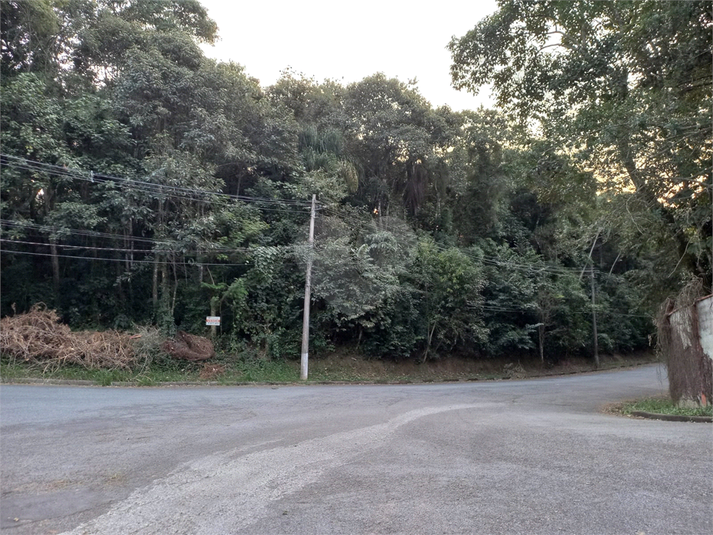 Foto REO1115168