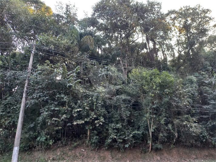 Foto REO1115168
